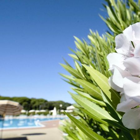 Isa-Apartments 4 Beds In Residence With Swimming-Pool In San Vincenzo, Just 600 Meters From The Sea エクステリア 写真