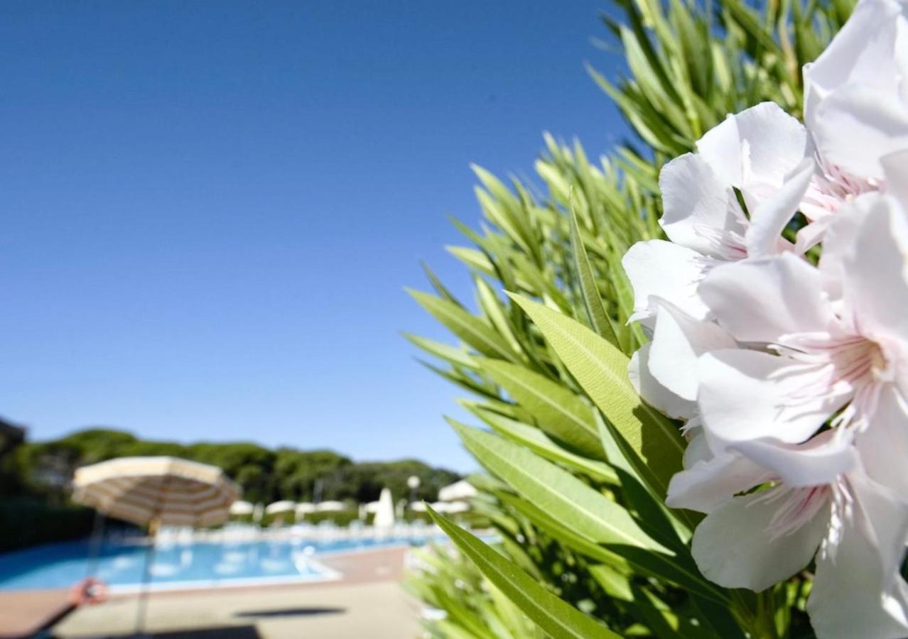 Isa-Apartments 4 Beds In Residence With Swimming-Pool In San Vincenzo, Just 600 Meters From The Sea エクステリア 写真